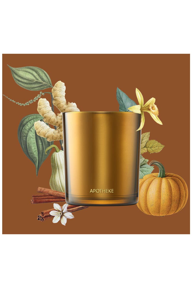 Pumpkin Ginger Classic Scented Candle, Alternate, color, BROWN