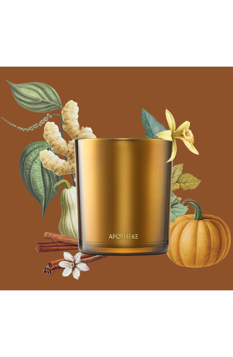 APOTHEKE Pumpkin Ginger Classic Scented Candle, Alternate, color,