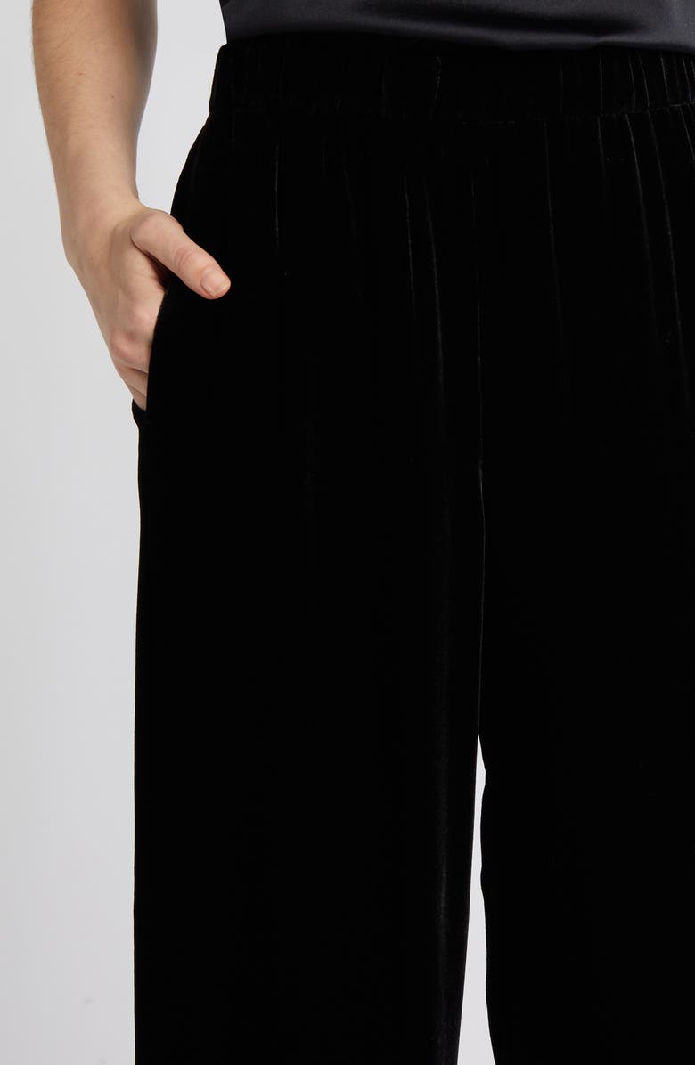 Eileen Fisher Velvet Ankle Wide Leg Pants, Alternate, color, 