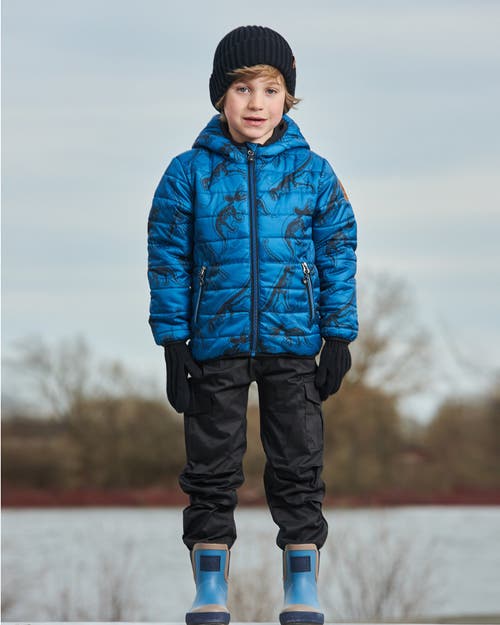 Deux Par Deux Baby Boy's Printed Quilted Mid-season Jacket Blue And Gray In Blue And Gray