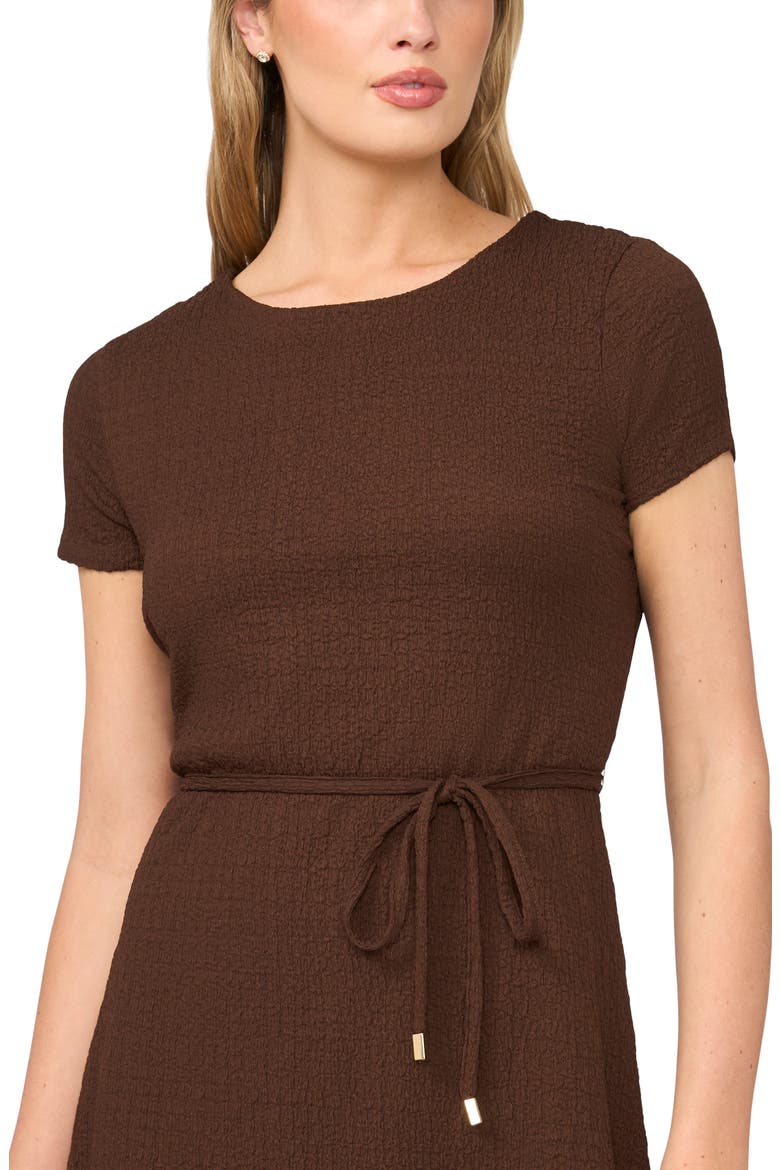 Crinkle Crepe Dress, Alternate, color, CHICORY COFFEE