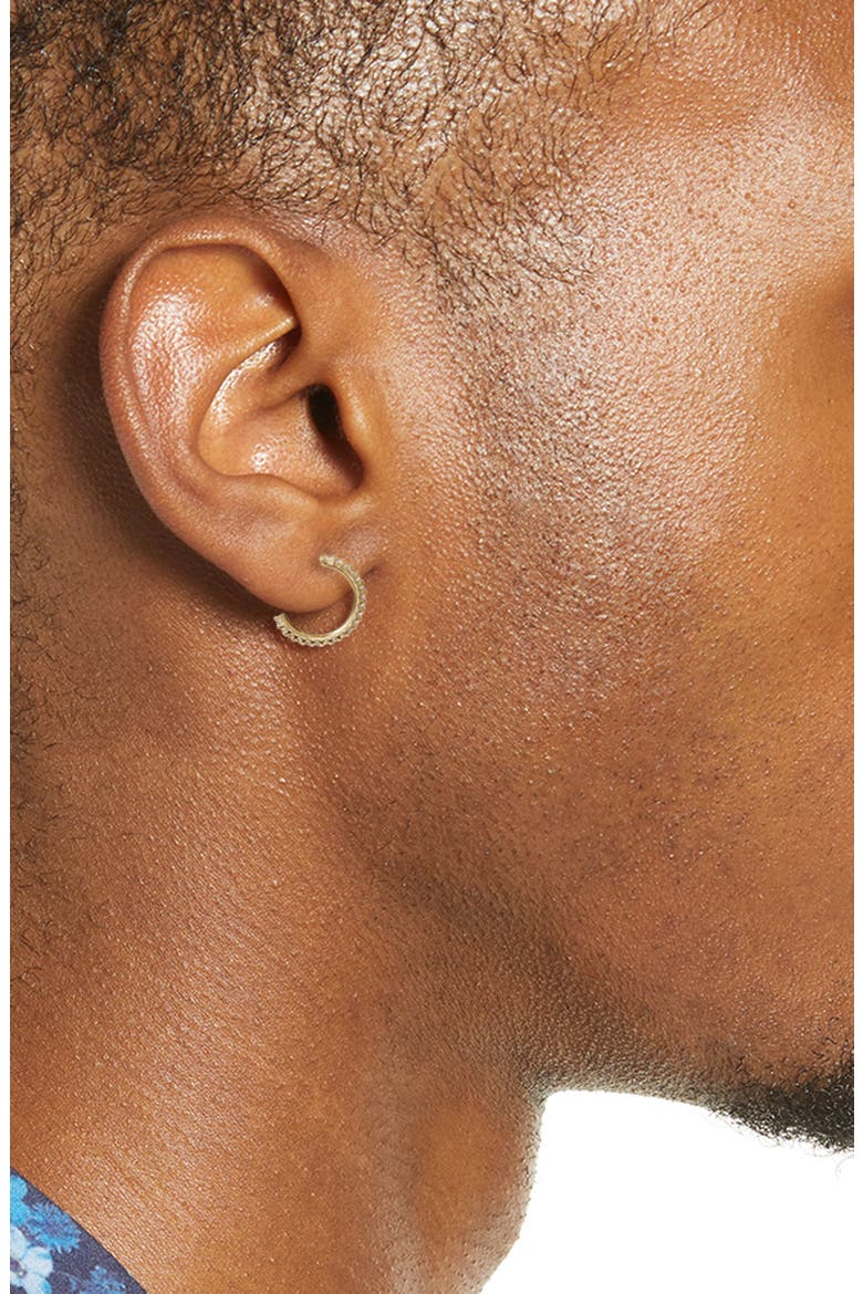Pavé Huggie Hoop Earrings, Alternate, color, CLEAR- GOLD