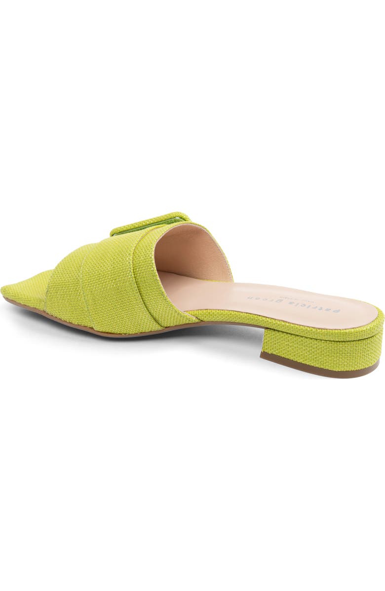 patricia green Bali Slide Sandal, Alternate, color, Lime Green Raffia