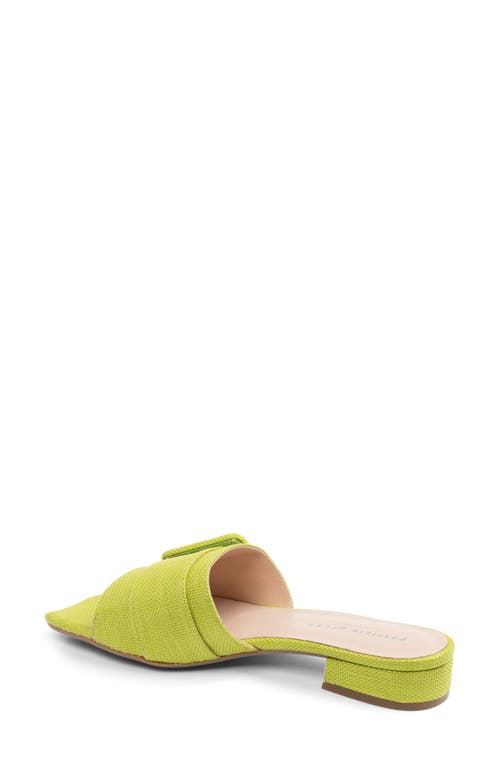 Patricia Green Bali Slide Sandal In Lime Green Raffia