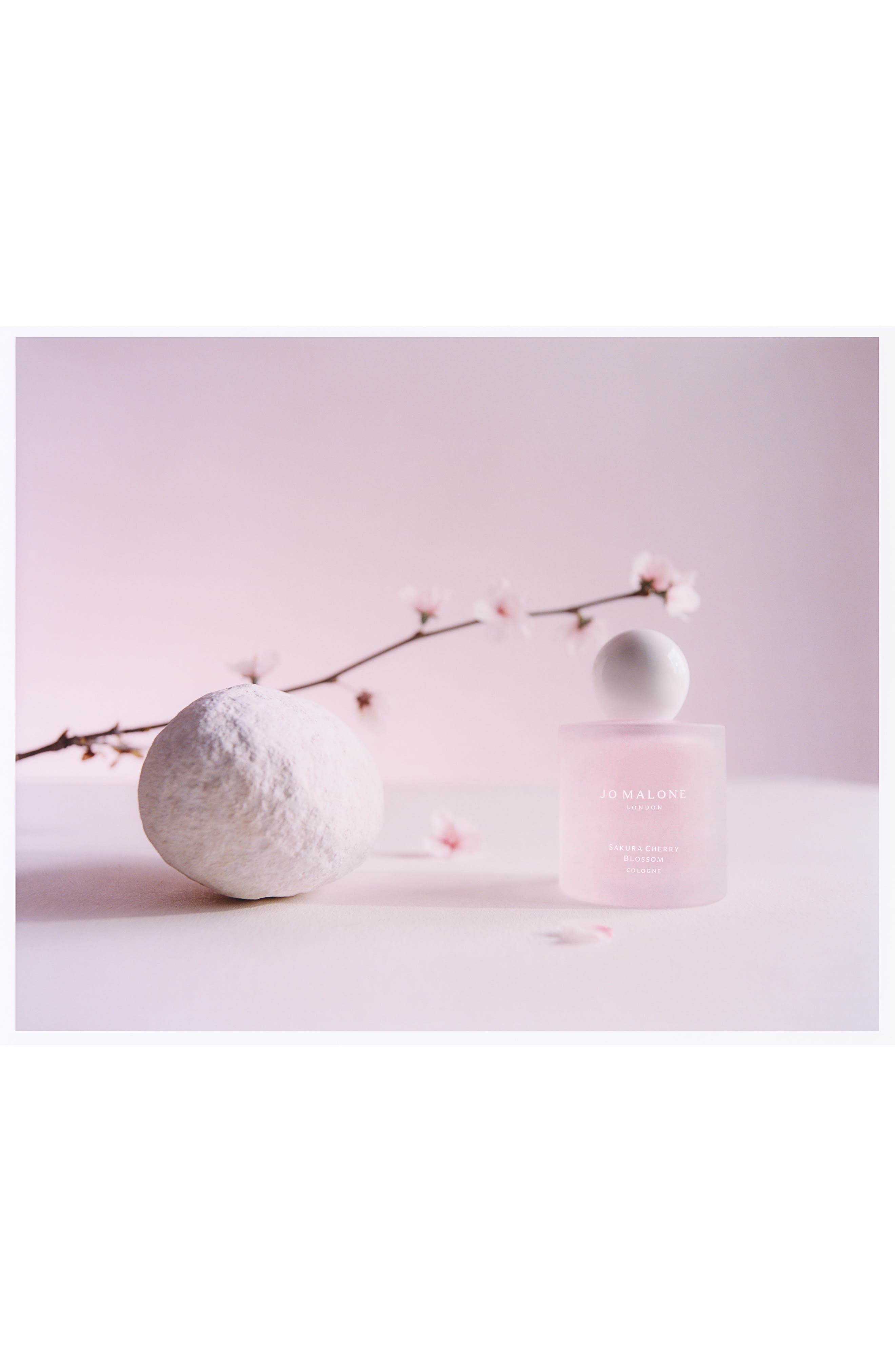 Sakura Cherry Blossom Cologne (Limited Edition) | Nordstrom