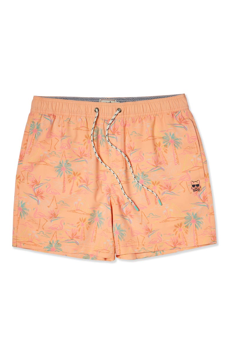 Whatha Flock Party Starter 5-Inch Swim Trunks, Main, color, CORAL