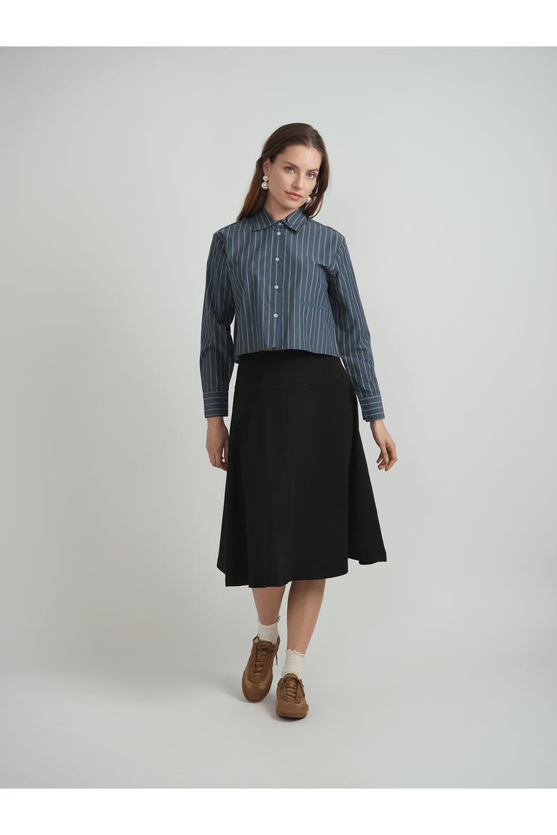 Cropped Striped Button Front Box Pleat Blouse, Alternate, color, Denim