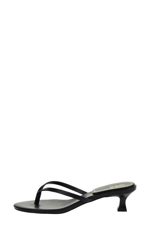Chinese Laundry Brissa Kitten Heel Flip Flop In Black