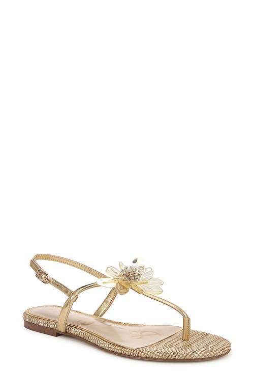 SAM EDELMAN SAM EDELMAN EDEN SLINGBACK SANDAL