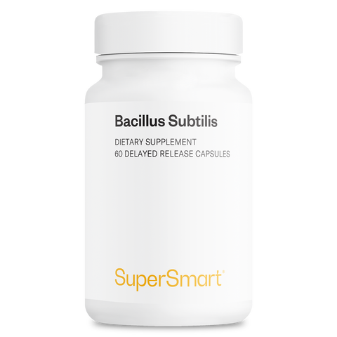 Bacillus Subtilis