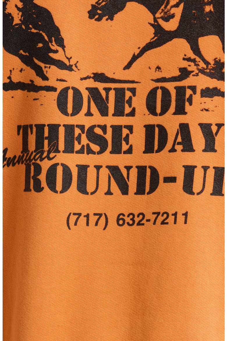 Roundup Fleece Graphic Hoodie, Alternate, color, ORANGE