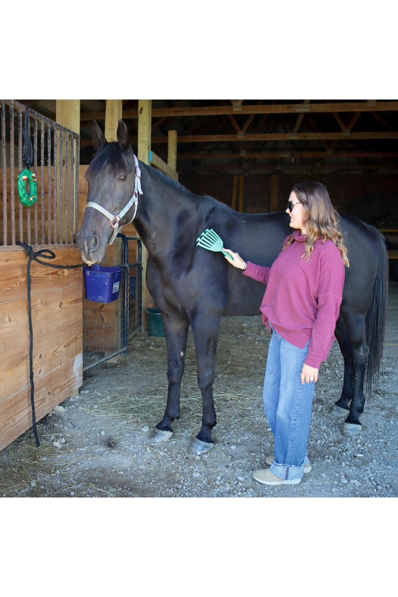 Deshedding Tool For Horses, Alternate, color, Green