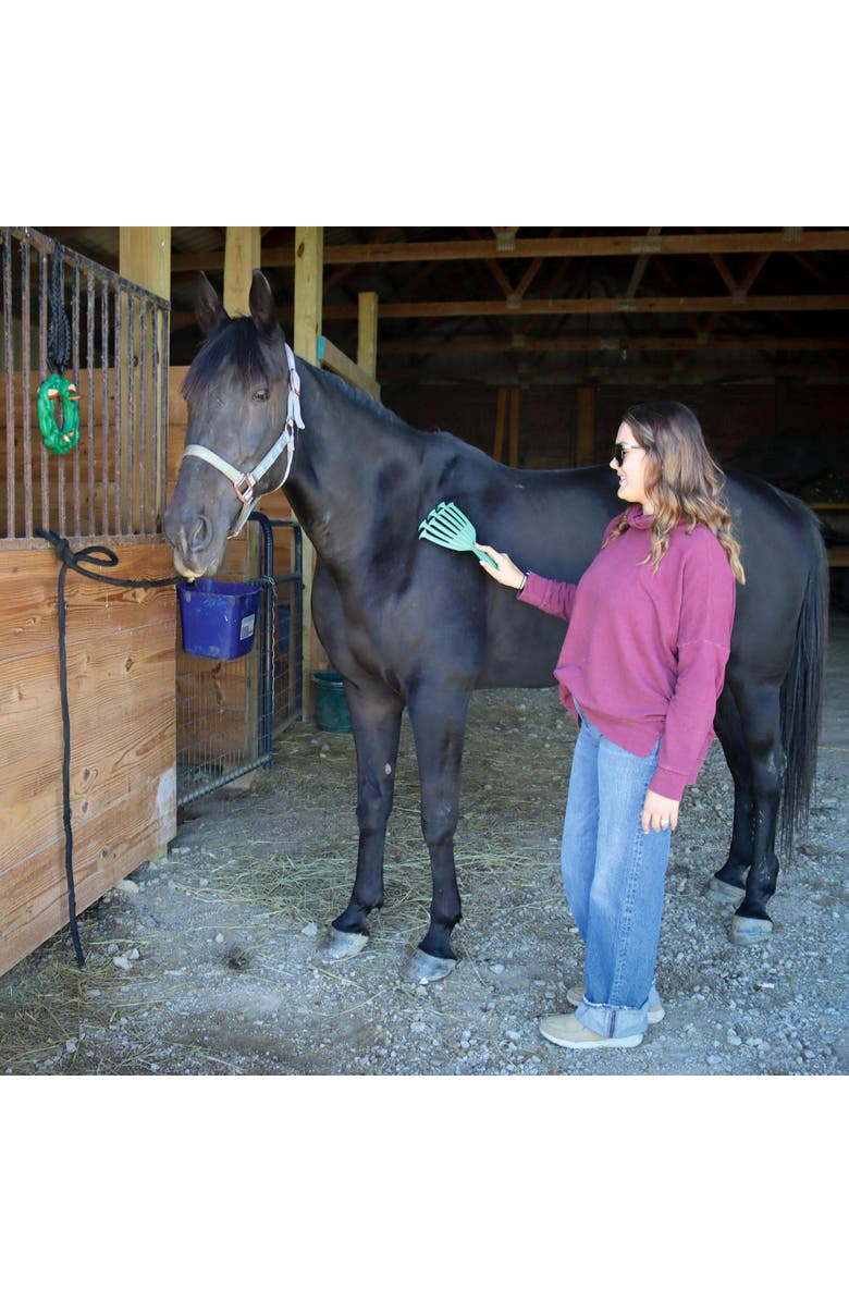 PetKORE Deshedding Tool For Horses, Alternate, color, Green