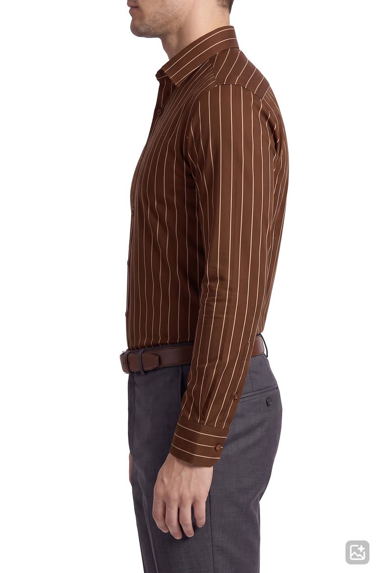 Stripe Cotton Dress Shirt, Alternate, color, BROWN