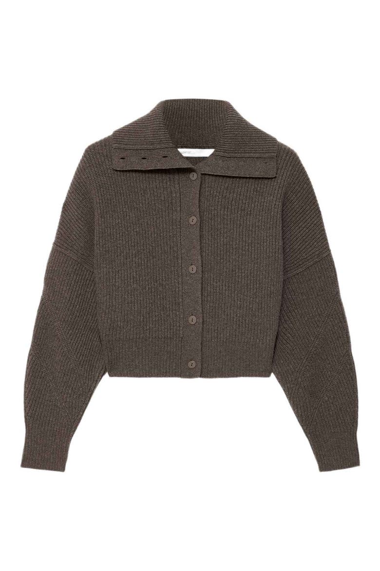 Caron Wool Cardigan, Alternate, color, MOLE BROWN