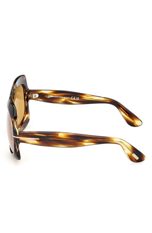 Tom Ford Ren 60mm Geometric Sunglasses In Brown