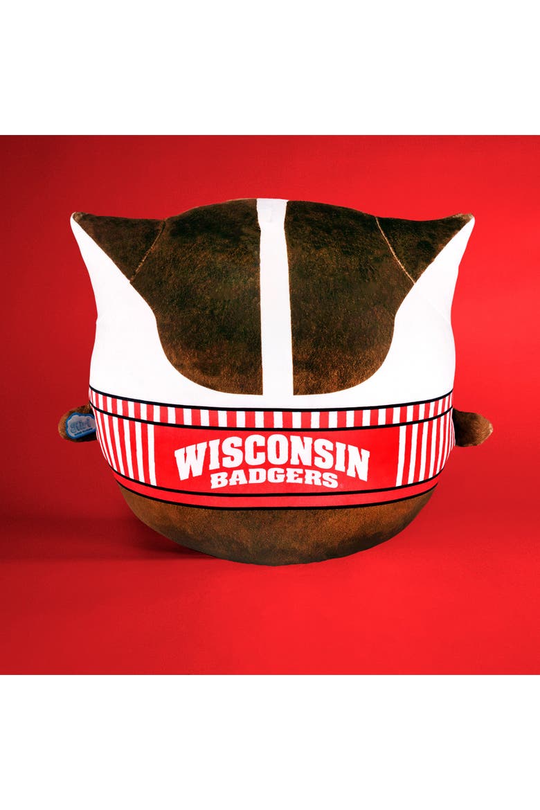 University of Wisconsin Badgers Bucky Badger Kiri Cloud Plushie, Alternate, color, None