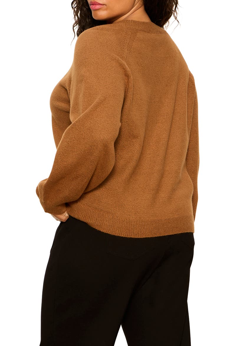 Soft Popover Sweater, Alternate, color, COCOA POWDER BROWN