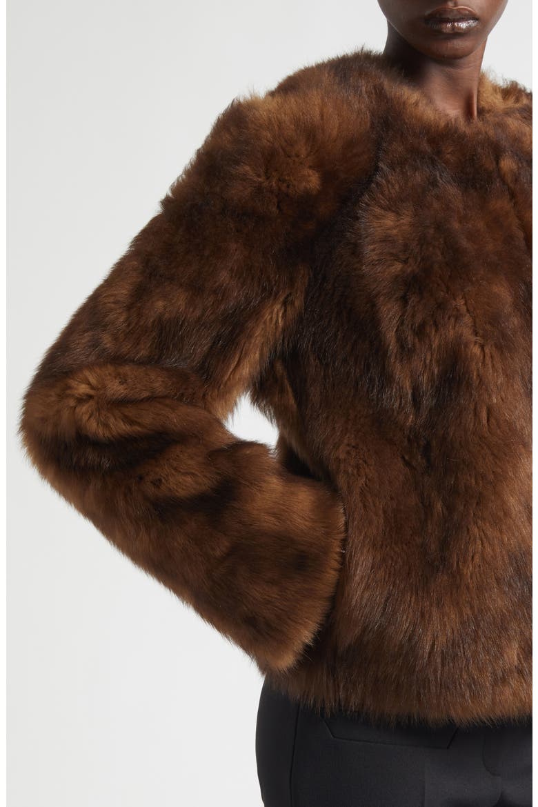 Hypnotic Tip Genuine Shearling Jacket, Alternate, color, TOFFEE