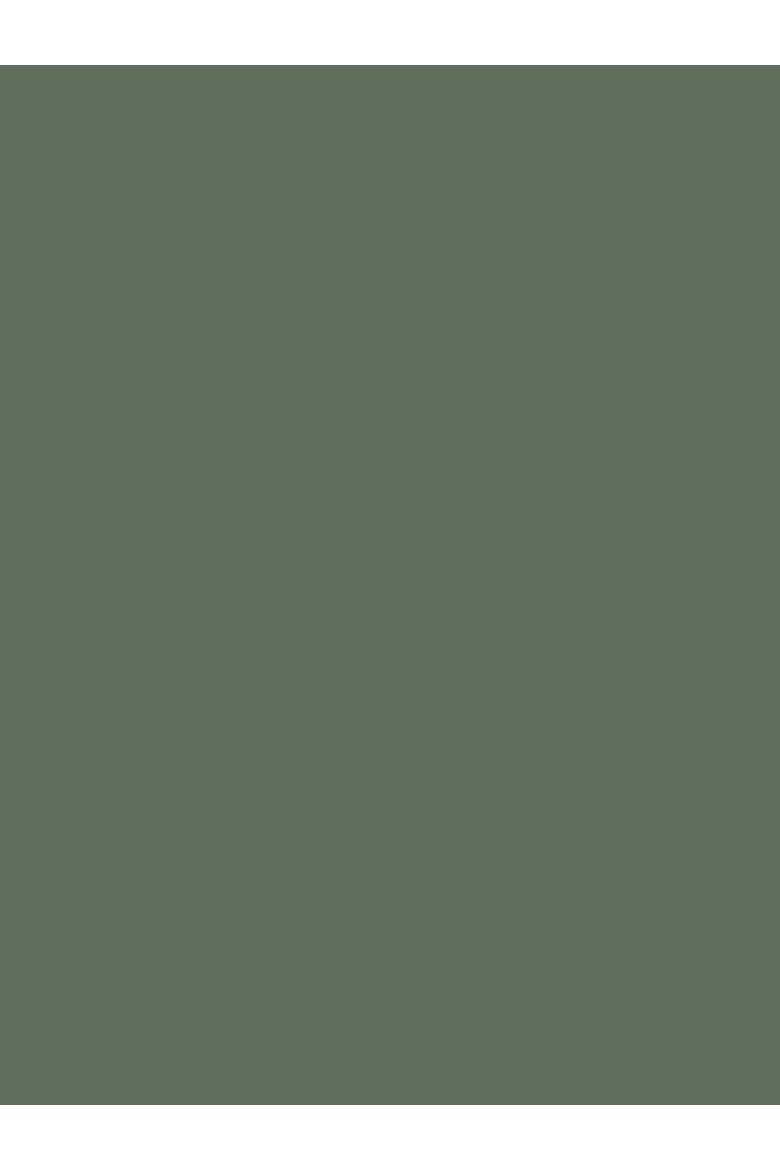 Geelong Wool Slouch V-Neck Sweater, Alternate, color, MOSS