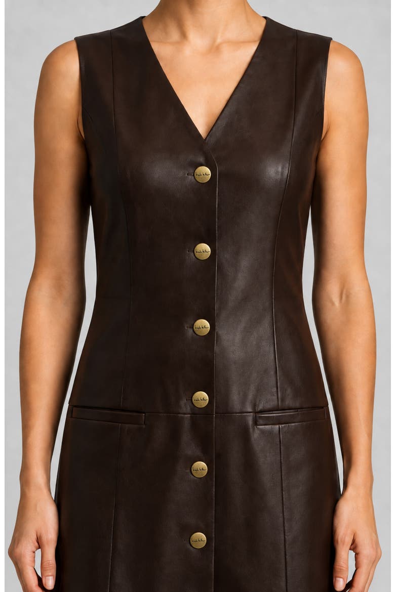 Faux Leather A-Line Dress, Alternate, color, COFFEE BEAN