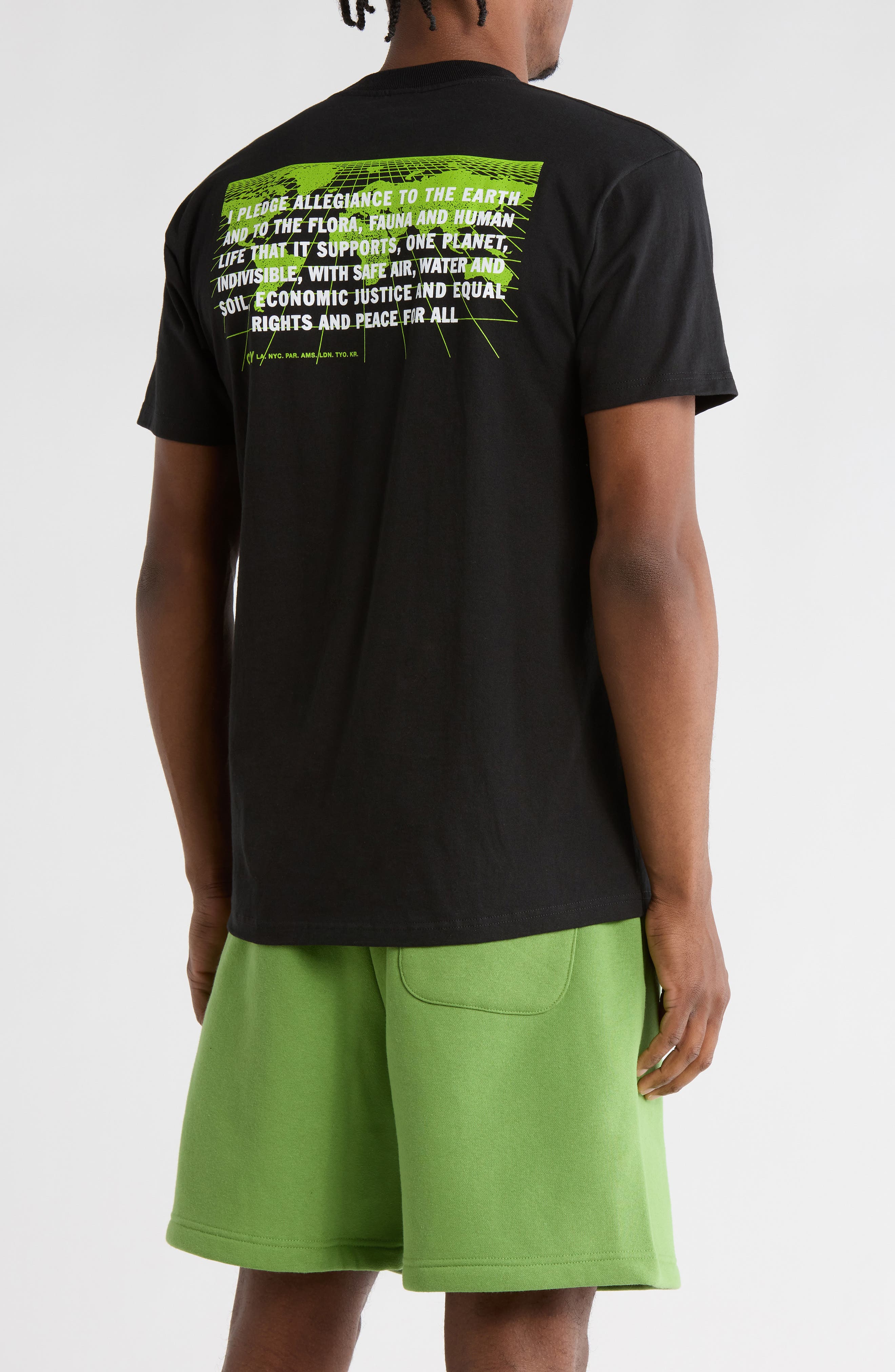 Pledge Allegiance Graphic T-Shirt - image 2