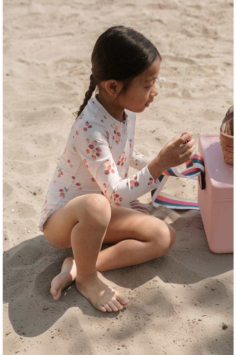 Long Sleeve UPF 50+ One-Piece Swimsuit, Alternate, color, LIGHT PINK