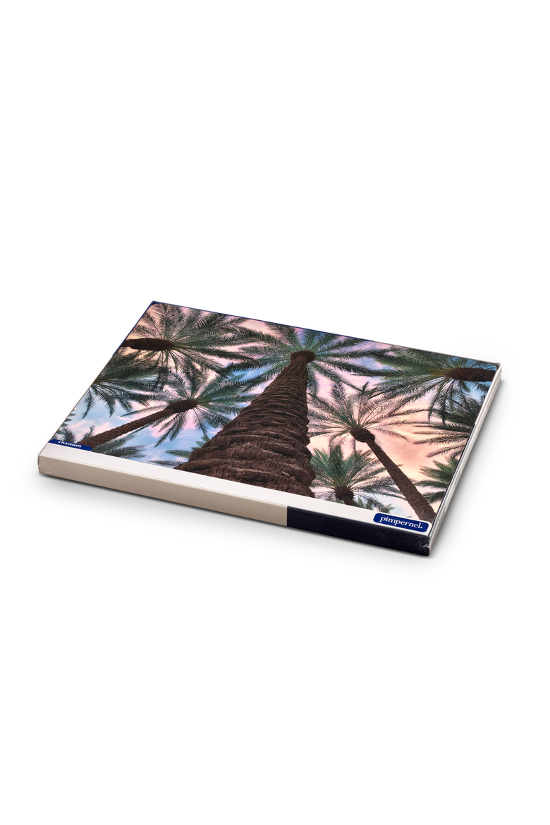 Tropical Set of 4 Cork Back Placemats, Alternate, color, Multi