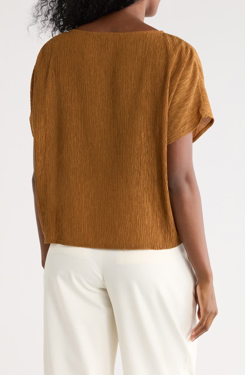 Eileen Fisher Dolman Sleeve Top, Alternate, color, Bronze