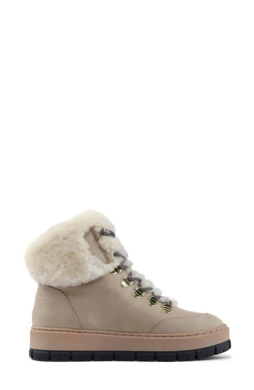 Pajar Chalet Faux Shearling Waterproof Bootie In Sand