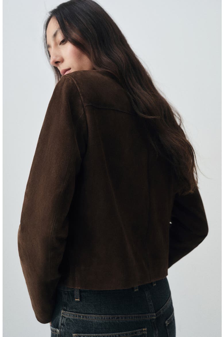 Selection Suede Button-Up Jacket, Alternate, color, BROWN