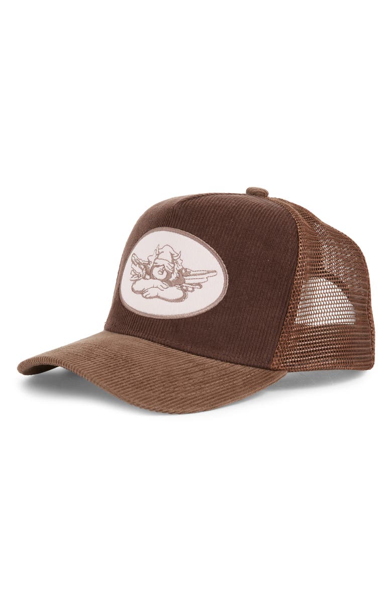 BOYS LIE Dark Chocolate Corduroy Trucker Hat, Main, color, 