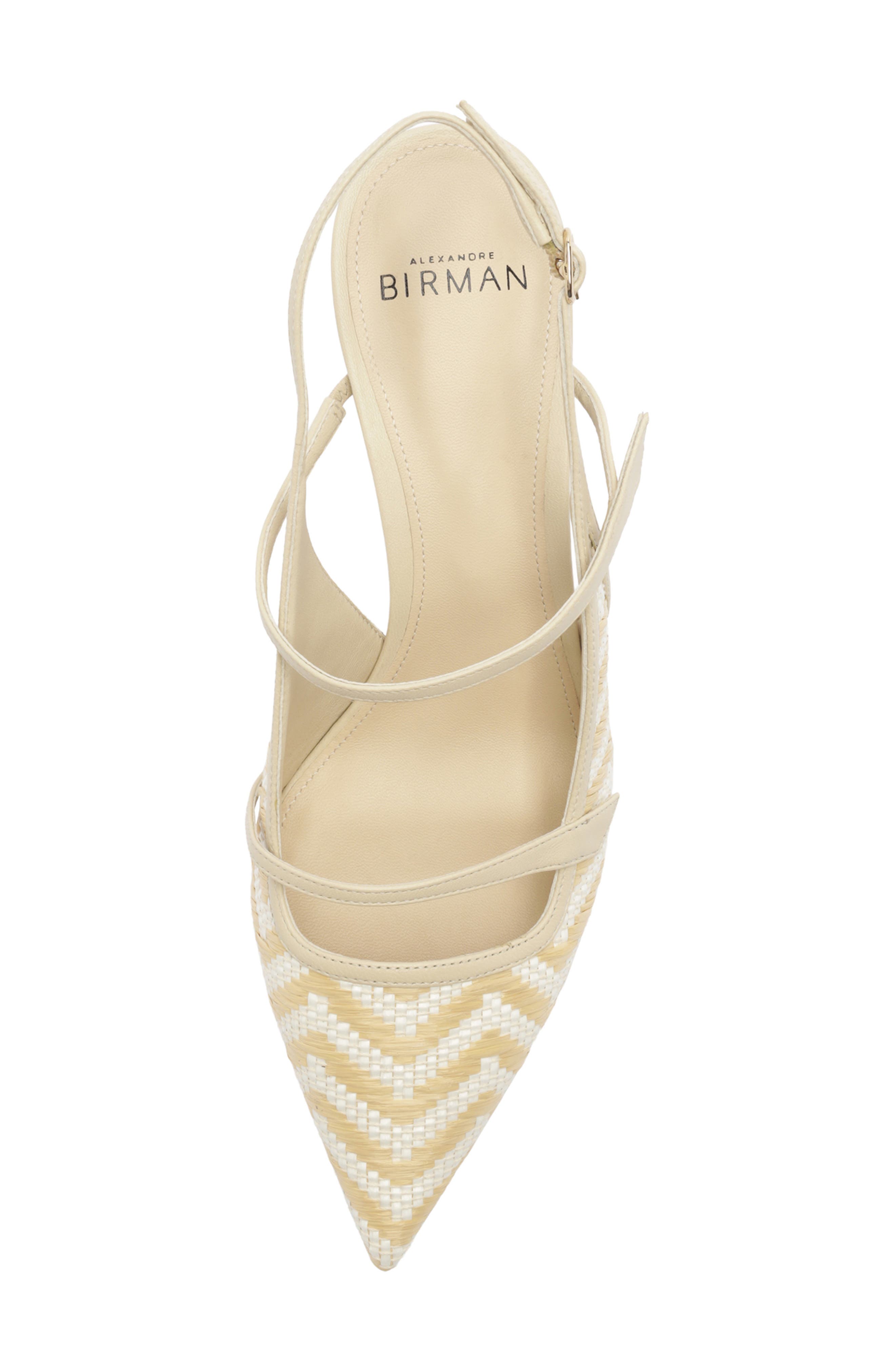 Alexandre Birman Tita Raffia Pointed Toe Slingback Pump, Alternate, color, Eggshell