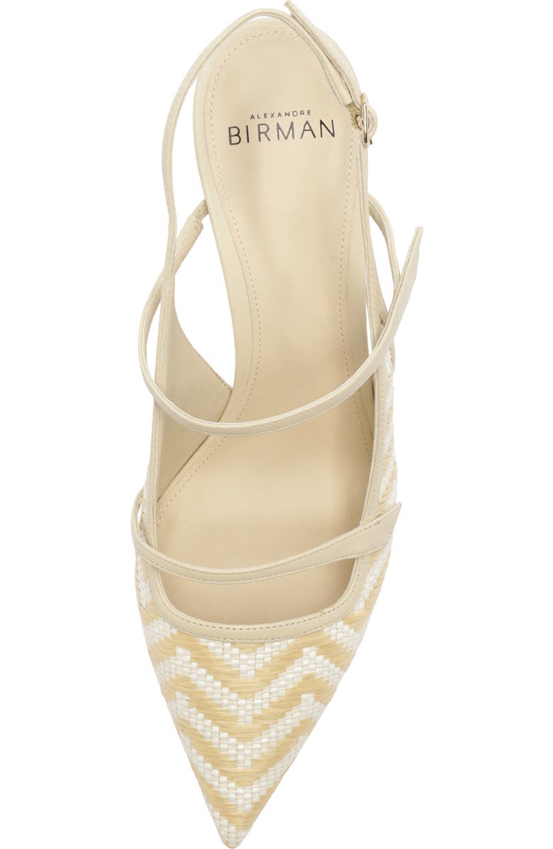 Alexandre Birman Tita Raffia Pointed Toe Slingback Pump, Alternate, color, Eggshell
