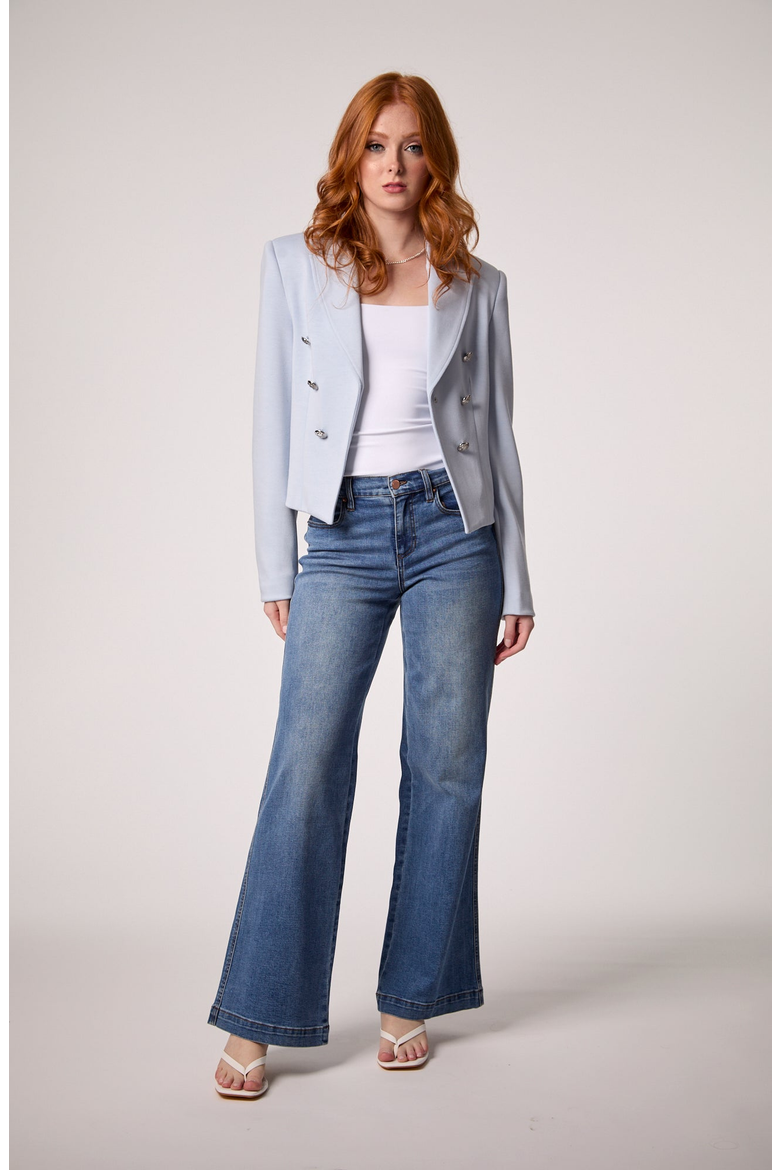 Charlotte Cropped Blazer, Alternate, color, Baby Blue