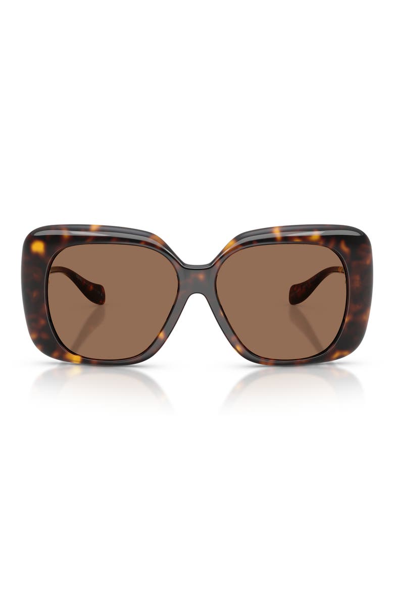 57mm Square Sunglasses, Main, color, HAVANA / DARK BROWN