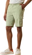 Tommy Bahama Linen in the Dream Stretch Cotton & Linen Flat Front Shorts