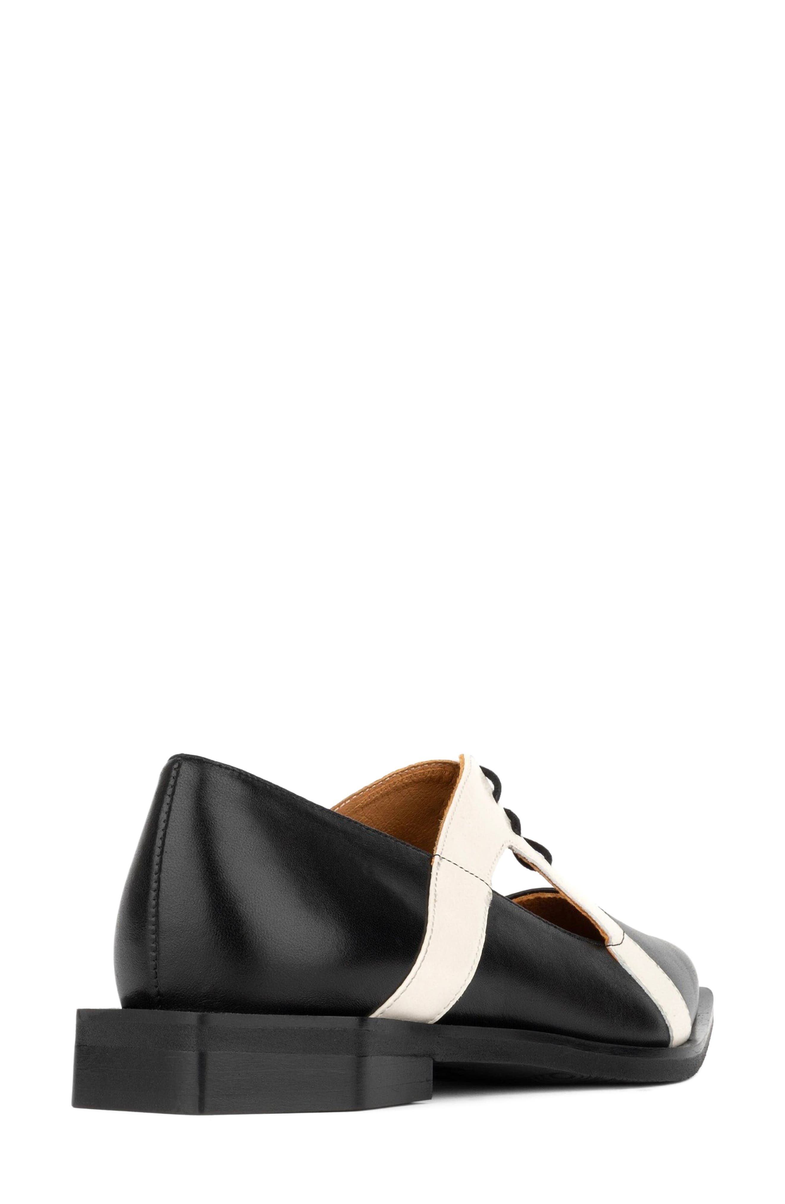 Harlowe Pointed Toe Flat, Alternate, color, BLACK