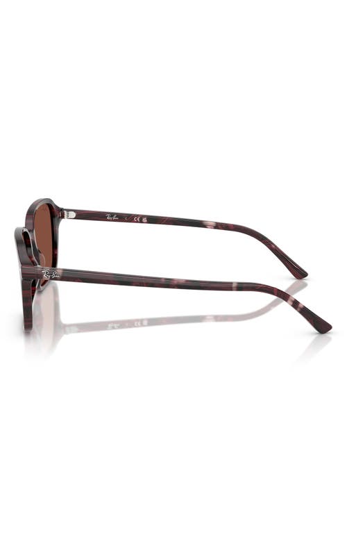 Ray Ban Ray-ban 58mm Square Sunglasses In Red