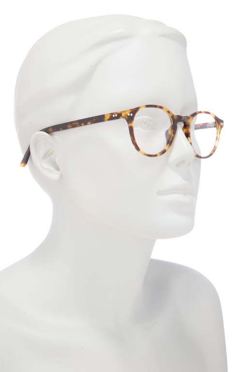 Kimeze 48mm Round Optical Glasses In Havana Transparent