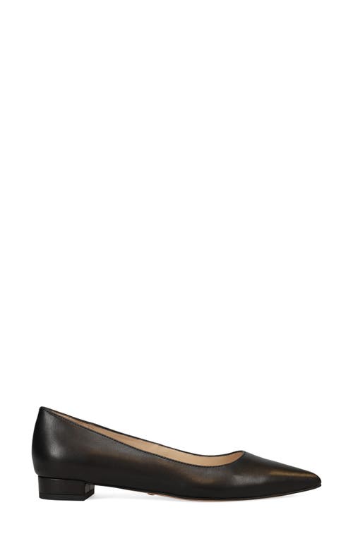 Pelle Moda Aaila Pointed Toe Flat In Black