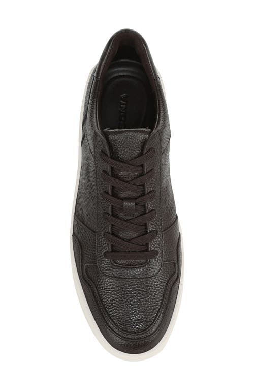Vince Peyton Sneaker In Brown