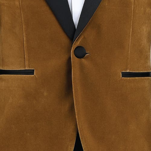 Moustache Velvet Suit In Brown