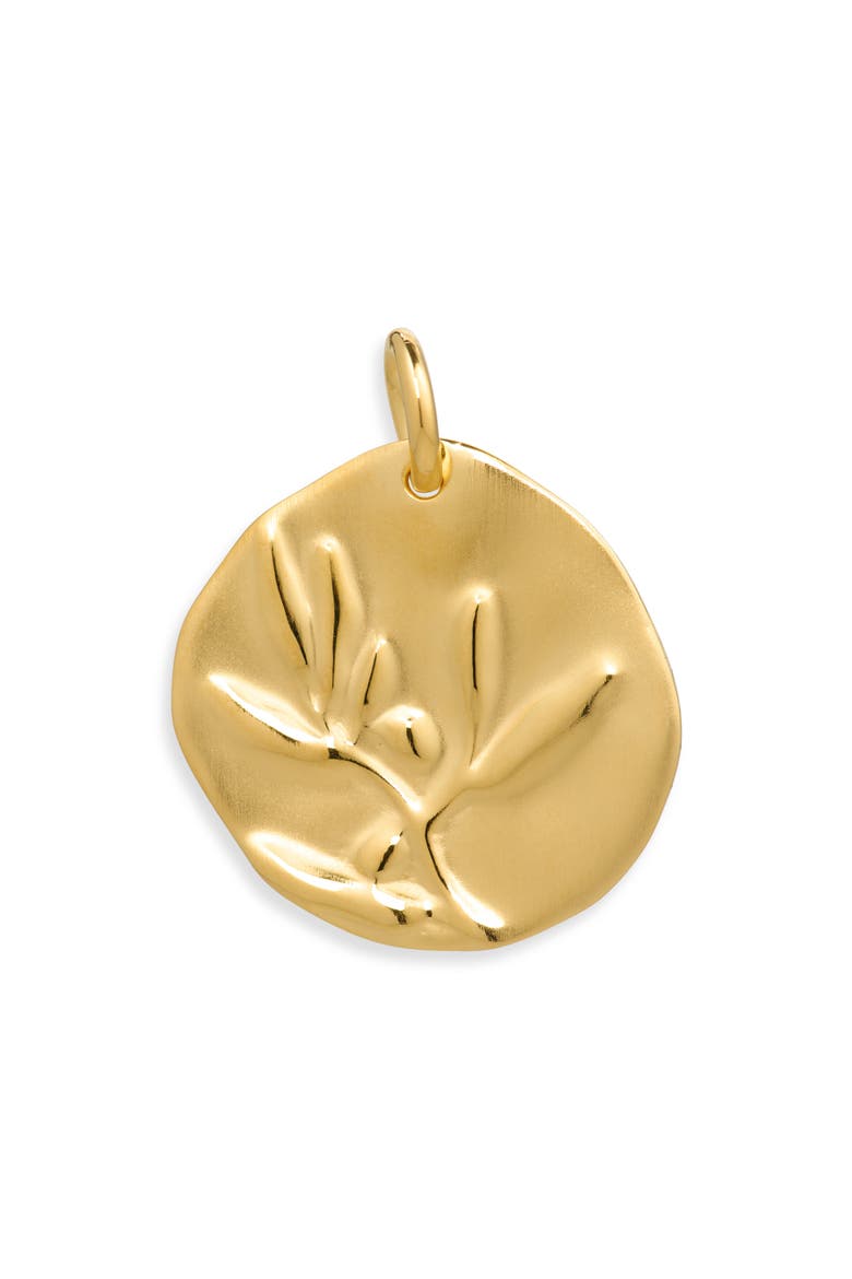 Talisman Peace Pendant Charm, Main, color, 18K GOLD VERMEIL