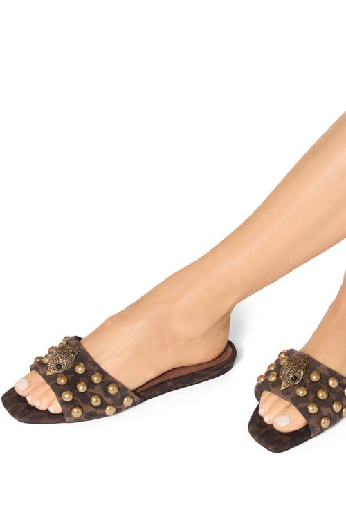 Kurt Geiger London Kensington Stud Slide Sandal In Brown