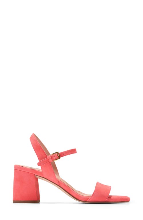 Cole Haan Josie Block Heel Sandal In Dubarry Suede