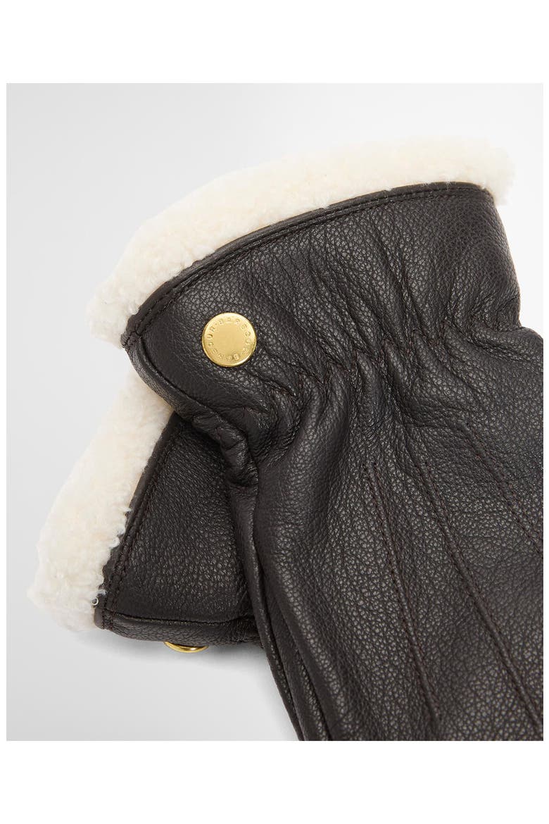 Bainford Leather Gloves, Alternate, color, BROWN