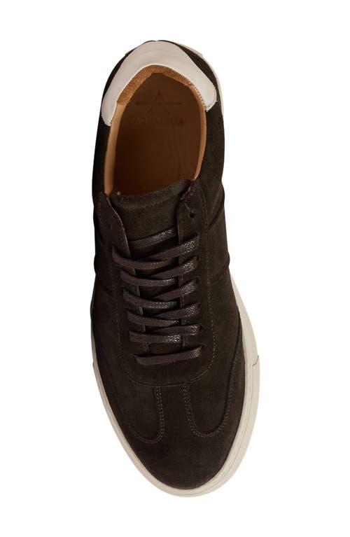 Aquatalia Metro Water Resistant Sneaker In Brown