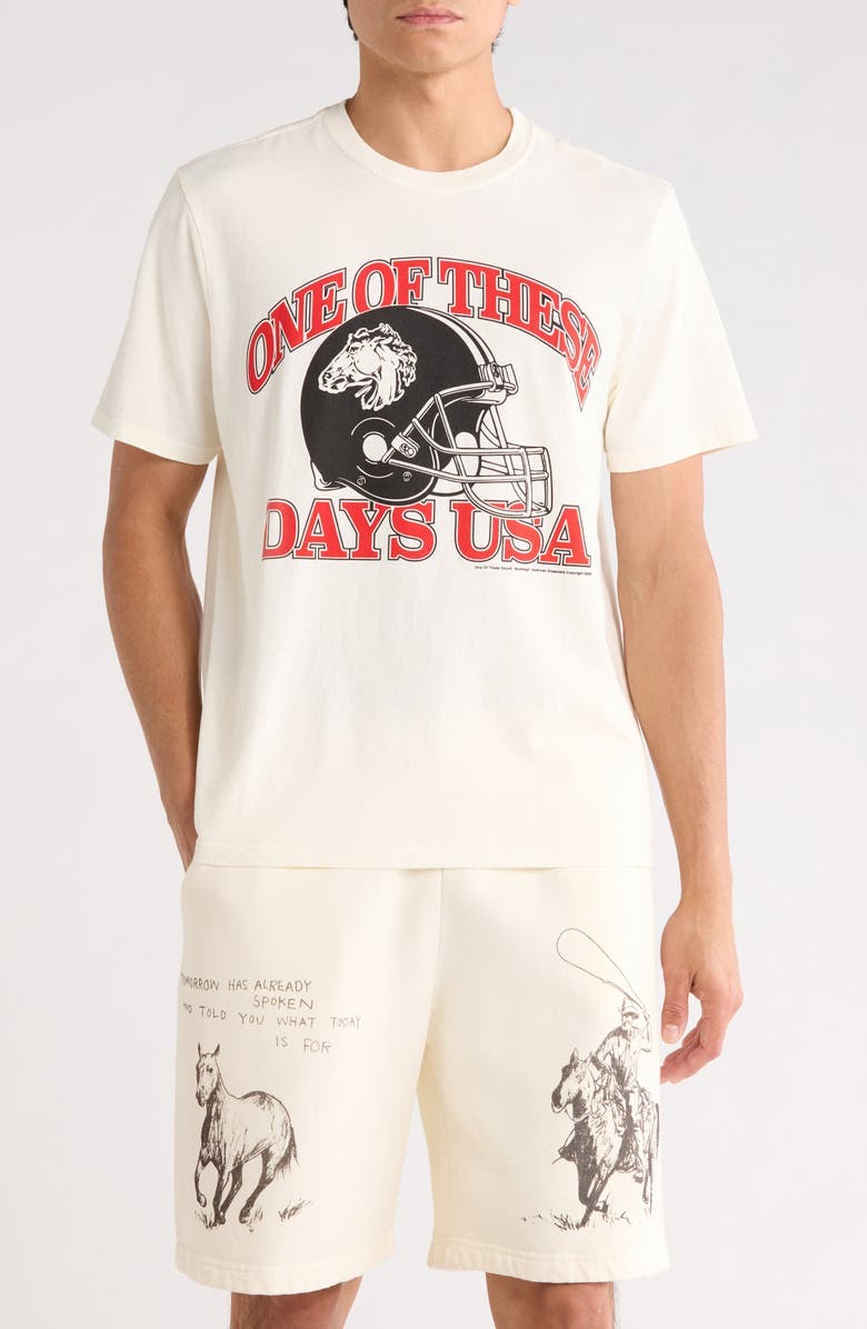 ONE OF THESE DAYS Days USA Cotton Graphic T-Shirt, Main, color, Bone