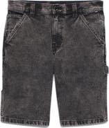 Vans Drill Chore Loose Fit Denim Shorts